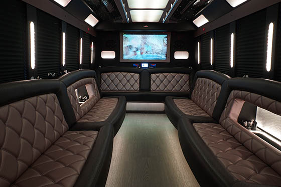 20-passenger party bus