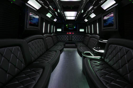 24-passenger party bus rental