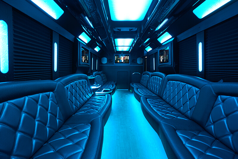 30-passenger party bus rental