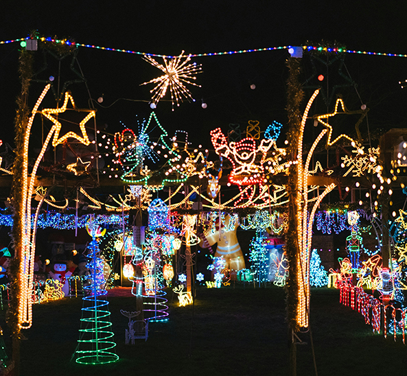 Holiday lights tours in Minneapolis
