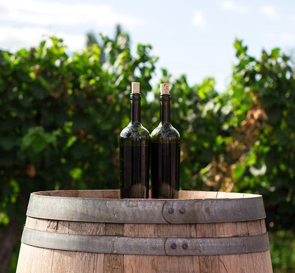 Winery tours in MN
