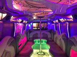 Twin Cities Limo Buses